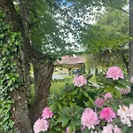 Wulfenia - Klagenfurt - Private Sauna, Smart-tv, Air Conditioning, Free Parking Апартаменты *