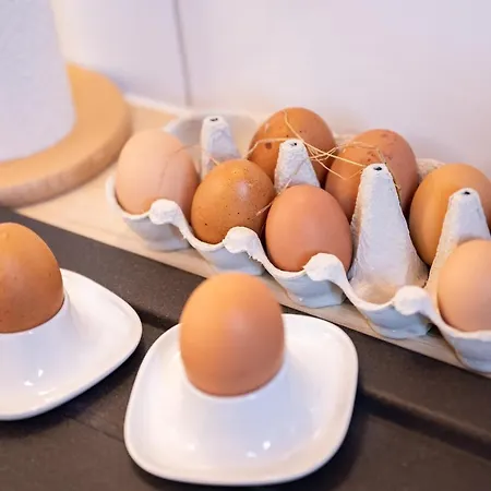 Klagenfurt Wulfenia - With Free Parking, Sauna, Smart-tv And Air Conditioning *