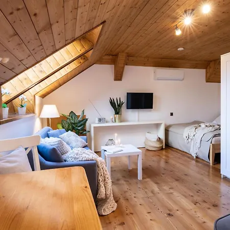 Klagenfurt Wulfenia - Private Sauna, Smart-tv, Air Conditioning, Free Parking *