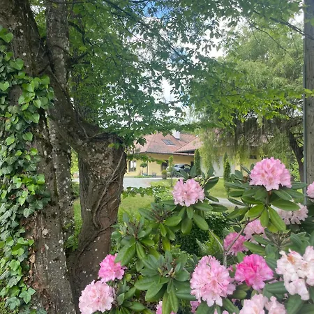 Wulfenia - Klagenfurt - Private Sauna, Smart-tv, Air Conditioning, Free Parking Apartament *