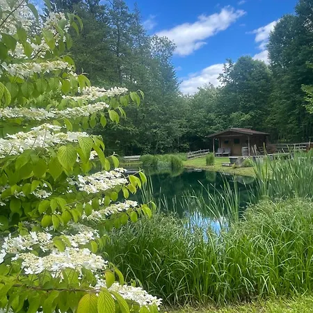Wulfenia - Klagenfurt - Private Sauna, Smart-tv, Air Conditioning, Free Parking Apartmán