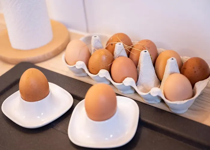 Klagenfurt Wulfenia - Private Sauna, Smart-tv, Air Conditioning, Free Parking *